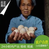 秀山特产农家散养土鸡蛋20枚 新鲜草鸡蛋笨鸡蛋月子蛋柴鸡蛋土鸡