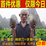 正宗广西特产荔浦芋头 新鲜槟榔紫藤香芋毛芋农家生鲜蔬菜5斤包邮