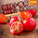 想妮新疆圣女果 小番茄新鲜水果酸甜休闲孕妇食品零食无添加