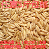 新货农家优质燕麦米 燕麦仁 雀麦野麦 莜麦 油麦玉麦 铃当麦250g