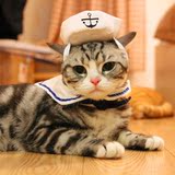 猫咪衣服海军装狗狗领结狗帽子宠物猫狗变身帽宠物变身装泰迪比熊