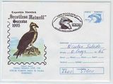 罗马尼亚1995年鹰邮资图实寄邮资封 040 白纸
