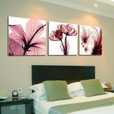 透明花卉 现代简约无框画客厅装饰画卧室床头挂画电视背景墙壁画