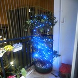 百帕斯 光控防雨LED太阳能灯串/圣诞节日装饰灯串/串灯LED灯