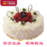 预定200天津最大津乐园蛋糕店生日蛋糕速递快递配送1012鲜奶水果