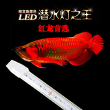 鱼缸水族箱LED水晶龙鱼专用水中灯观赏鱼潜水灯双排LED灯