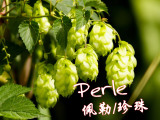 热卖家酿啤酒【佩勒/珍珠 Perle 】香花（微薄荷味）自酿啤酒
