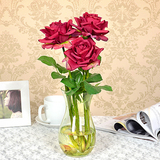 欧式简约彩色透明玻璃花瓶玫瑰器绿萝花盆客厅装饰插花器