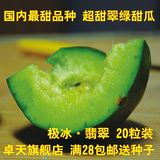 水果蔬菜种子翠宝绿皮绿壤翡翠甜瓜种子 绿皮香瓜种子 含糖超18%