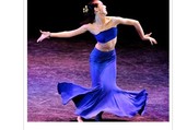 新款傣族舞蹈服装 新款民族演出服 鱼尾裙舞台表演女装 孔雀舞服