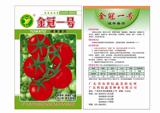 蔬菜种子 金冠一号番茄种子（5g装）广东省农科院选育 硬果番茄