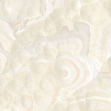 特地陶瓷 瓷砖 微晶石 玻化砖 珍珠琥珀 地砖TIB20180P 800x800mm