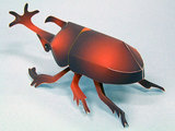手工DIY 立体组装益智玩具 仿真昆虫 爬虫 甲虫 甲壳虫 3D纸模型
