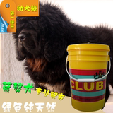 藏獒犬幼犬专用赛级狗粮20磅（CLUB马尔塞皇家包邮）