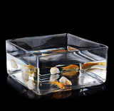 简约欧式方形玻璃花瓶水仙花盆金鱼缸水族绿萝器皿客厅摆件装饰品