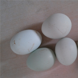 黄龙飞鸡中草药生态散养鸡蛋飞鸡绿壳蛋土鸡蛋宝宝孕妇粮食鸡蛋