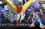 万代模型  RG 1 144  命运敢达 Seed Destiny Gundam 高达