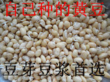 15年新黄豆生豆芽磨豆浆农家自种黑龙江五常大豆买大豆赠稻花香米