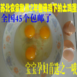 苏北农家自家散养新鲜草鸡蛋土鸡蛋 笨鸡蛋2年孕妇宝宝首选