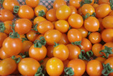 新鲜水果蔬菜  新鲜黄小西红柿  黄西红柿 黄番茄 黄柿子 圣女果