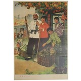 超值怀旧农业学大寨海报宣传画 红色收藏文革时期家居画像精品