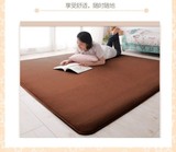 珊瑚绒纯色地毯 现代简约客厅卧室茶几珊瑚绒单色地毯 素色地毯