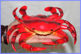 包邮 仿真橡胶硬体动物玩具/海洋玩具模型/大螃蟹/小螃蟹21厘米