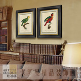 鹦鹉美式乡村新古典欧式现代简约田园客厅书房有框装饰画壁挂壁饰
