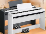 【狂次狂次】钢琴模型 test