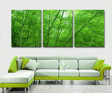 家居装饰画 绿色竹子田园画 客厅无框画 风景画 挂画 壁画