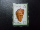 01826伯利兹邮票1981年信销贝壳4-1组外品米歇尔目录15元81年版