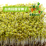 台湾进口维他美仕食材VITAMIX苜蓿芽蔬菜 四季种子芽苗菜种买4送1