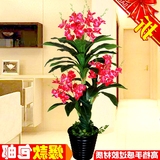 卉盆栽蝴蝶兰仿真植物假花客厅家居办公室装饰塑料落地绿植套装花