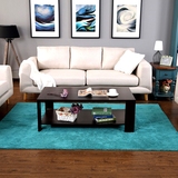 简约盛太乐居家用生活客厅地毯进口纯棉大小尺寸方形地毯可机洗