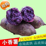 新鲜紫薯番薯地瓜红薯粗粮新鲜蔬菜越南山芋天目小薯紫心5斤包邮