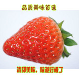 奶油草莓/牛奶草莓/草莓/红颜草莓/水果/深圳关内最快2小时送达