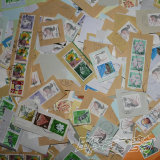 3月新到日本信销邮票普票剪片1KG包快递 送松鹰图 有大量重复