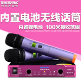 特美声Temeisheng W25-1无线话筒舞台会议家用唱歌麦克风一拖二