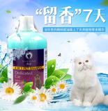 雪貂猫咪专用沐浴露猫猫洗澡用沐浴液美毛防掉毛除臭宠物香波用品