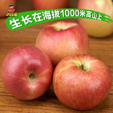 太阳果 陕西农家高山原生态水晶红富士野生苹果10斤新鲜水果批发