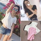 韩版2016夏季女装新款毛针织衫薄款圆领套头打底衫格纹短款T恤衫