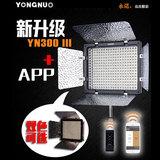 永诺YN300III 三代 LED摄影灯摄像灯婚庆外拍灯 补光灯APP遥控