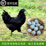 【绿壳鸡蛋】农家自养散养旧院黑鸡所产富硒新鲜乌鸡蛋土鸡蛋30枚