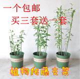 园艺用品藤本爬藤架花支架植物铁艺花架月季爬藤架包邮铁环花支柱