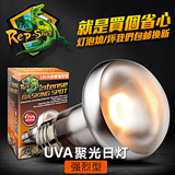 RS高品质 沙漠UVA日灯强烈型加热灯鬃狮蜥蜴爬虫龟箱舒适聚光灯