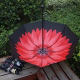 亏本包邮正品红叶三折遮阳伞 小雏菊花雨伞 折叠防紫外线小黑伞