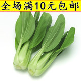蔬菜种子 四月慢青菜种子 小油菜小白菜 阳台耐寒大青菜