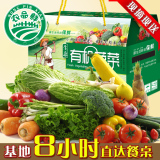 上海新鲜有机蔬菜礼盒农家自种套餐同城配送礼品青浦特产团购批发