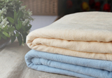 外贸原单毛圈布纯棉保暖床单床笠纯色床罩夏季凉毯沙发盖布毛巾被