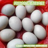 绿壳蛋 受精蛋 可孵化种蛋 乌鸡蛋 五黑一绿 绿壳土鸡蛋30个包邮